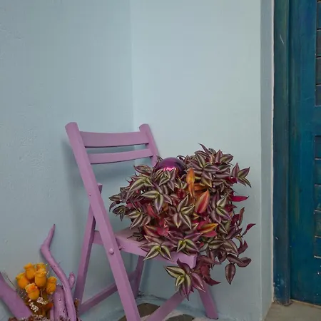 Hotel apartamentowy Galazia 3*