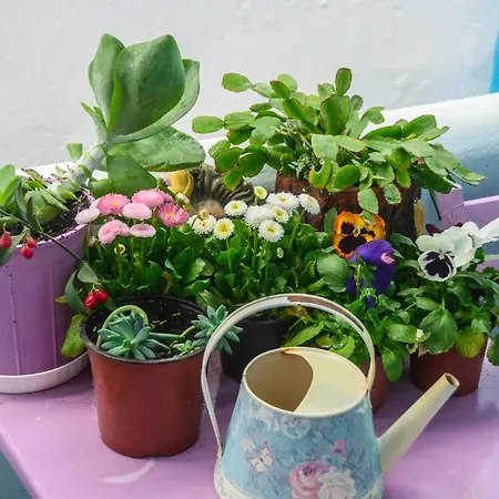 Hotel apartamentowy Galazia 3*