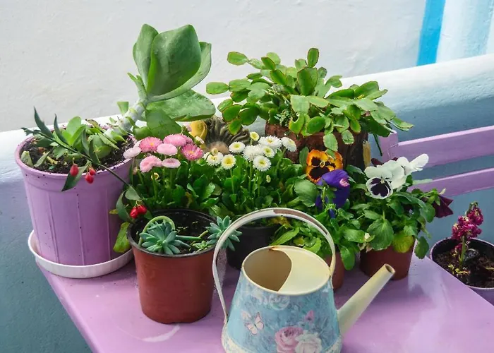 Апарт-отель Galazia 3*